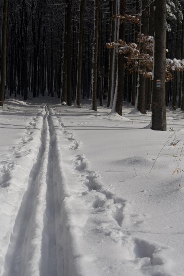 Robert Frost Mountain Cabins มิดเดิลแบรี ภายนอก รูปภาพ