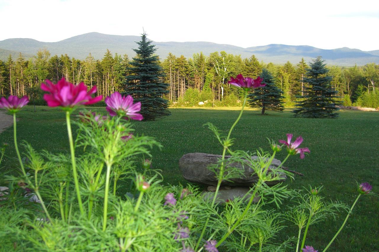 Robert Frost Mountain Cabins มิดเดิลแบรี ภายนอก รูปภาพ