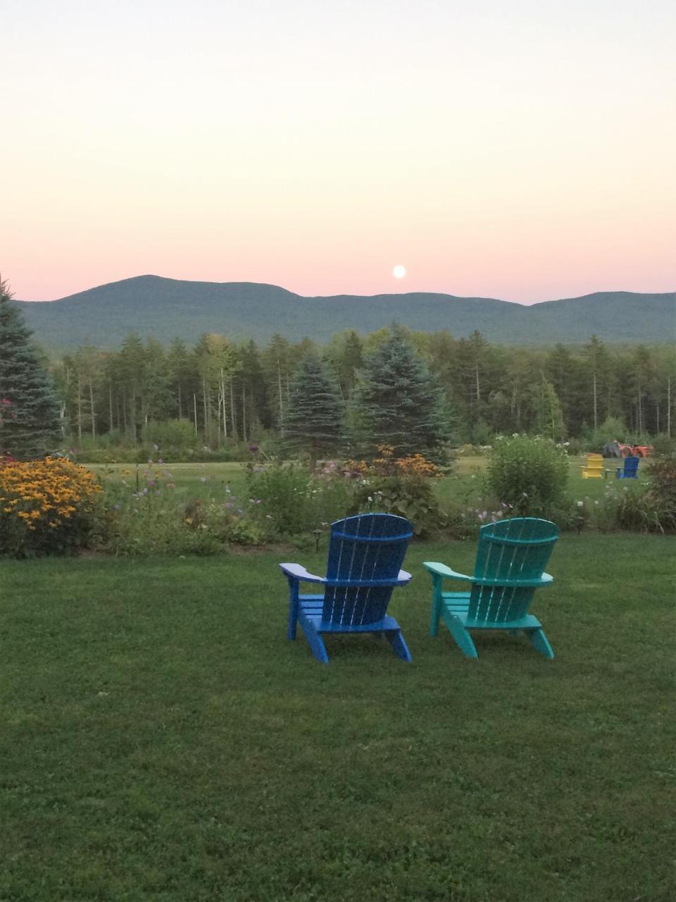 Robert Frost Mountain Cabins มิดเดิลแบรี ภายนอก รูปภาพ
