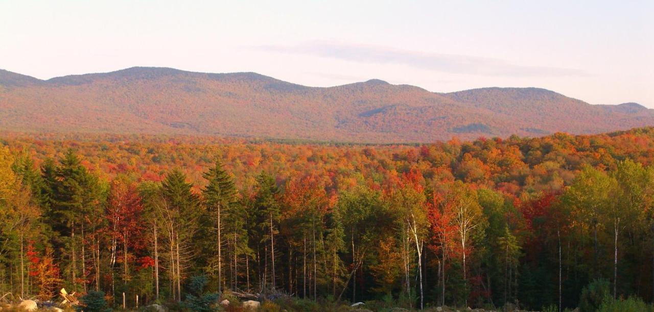 Robert Frost Mountain Cabins มิดเดิลแบรี ภายนอก รูปภาพ