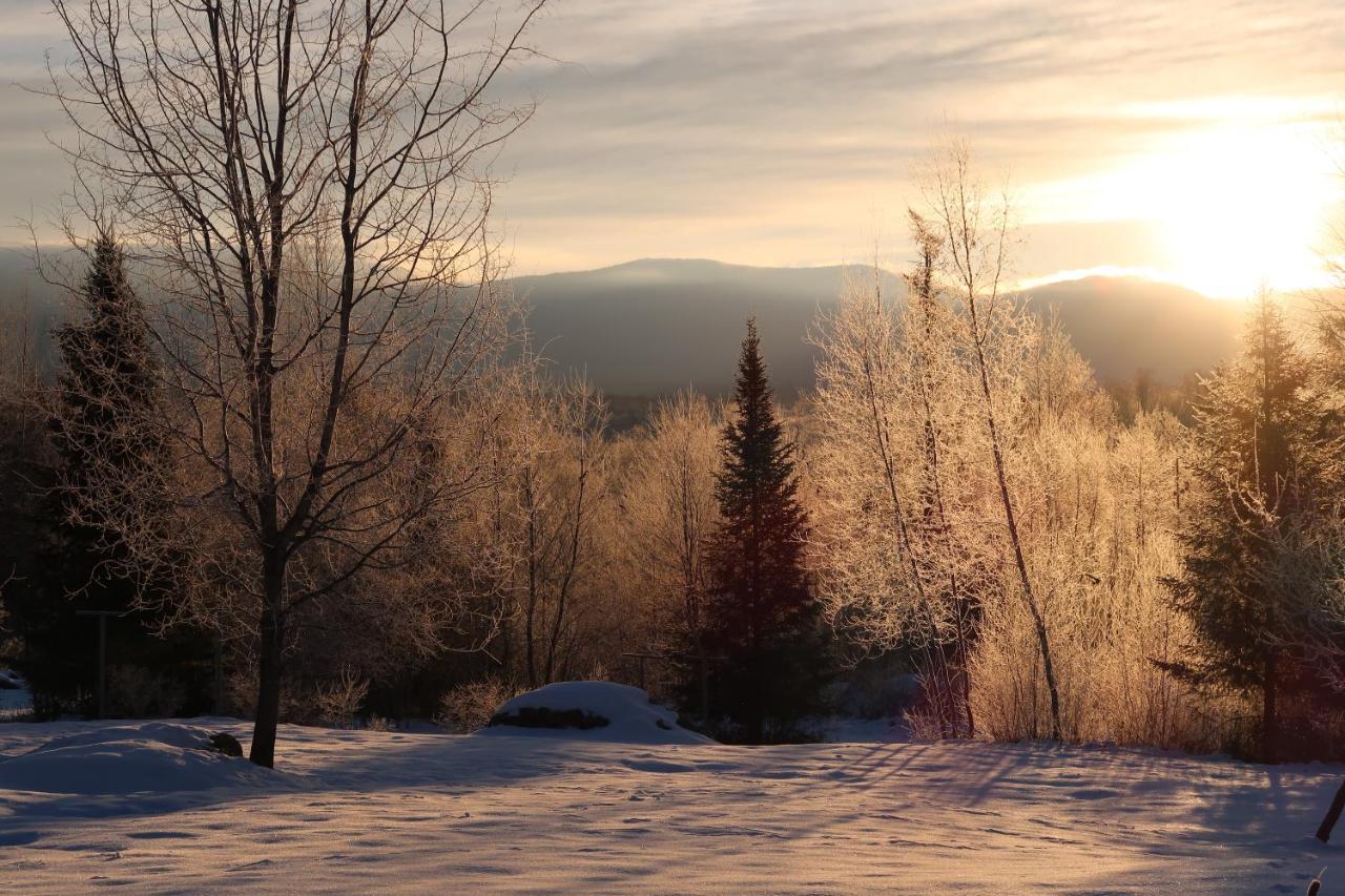 Robert Frost Mountain Cabins มิดเดิลแบรี ภายนอก รูปภาพ